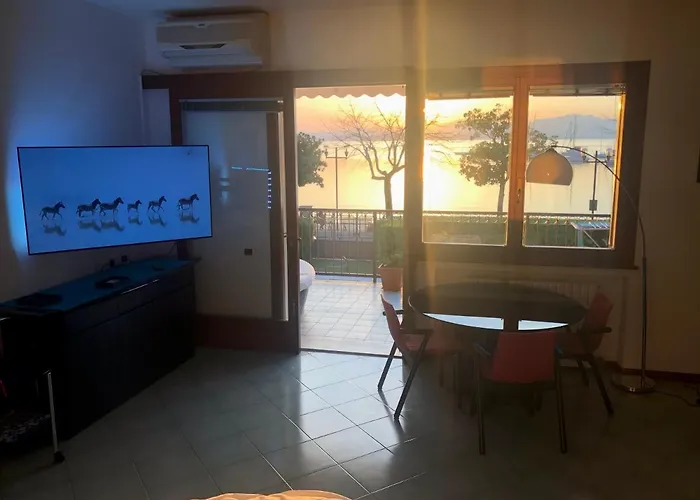 Rainer - Front Bardolino