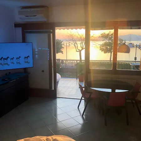 Rainer - Front ברדולינו