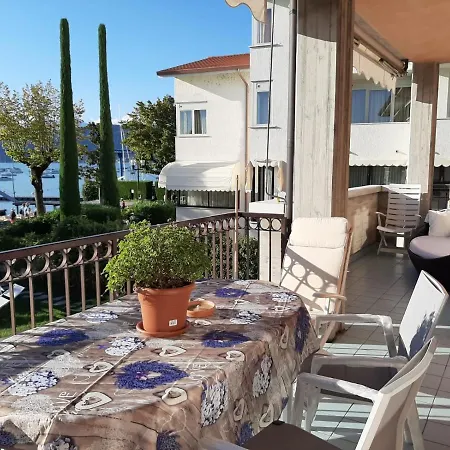 Rainer - Front * ברדולינו