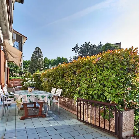 Rainer - Front ברדולינו