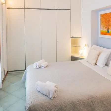 Rainer - Front * ברדולינו