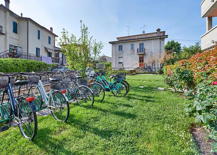 Rainer - Front * Bardolino